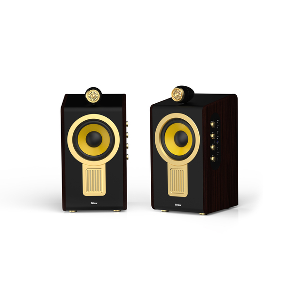 Hisw-Gold6